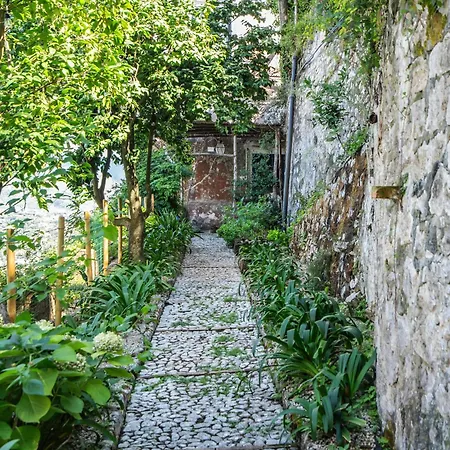 Salvatorosa Mare Casa vacanze *