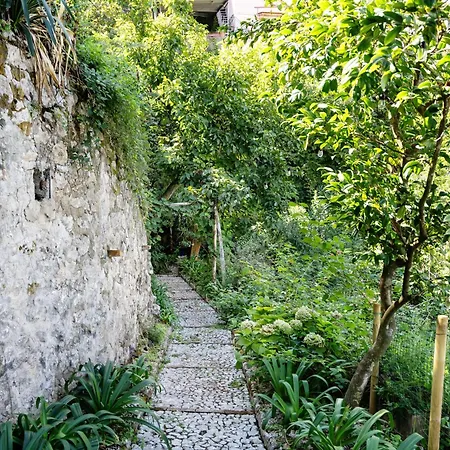 Salvatorosa Mare *